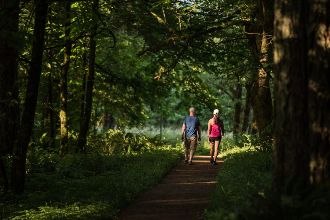 photo of walkers at Scouters Mountain Nature Park