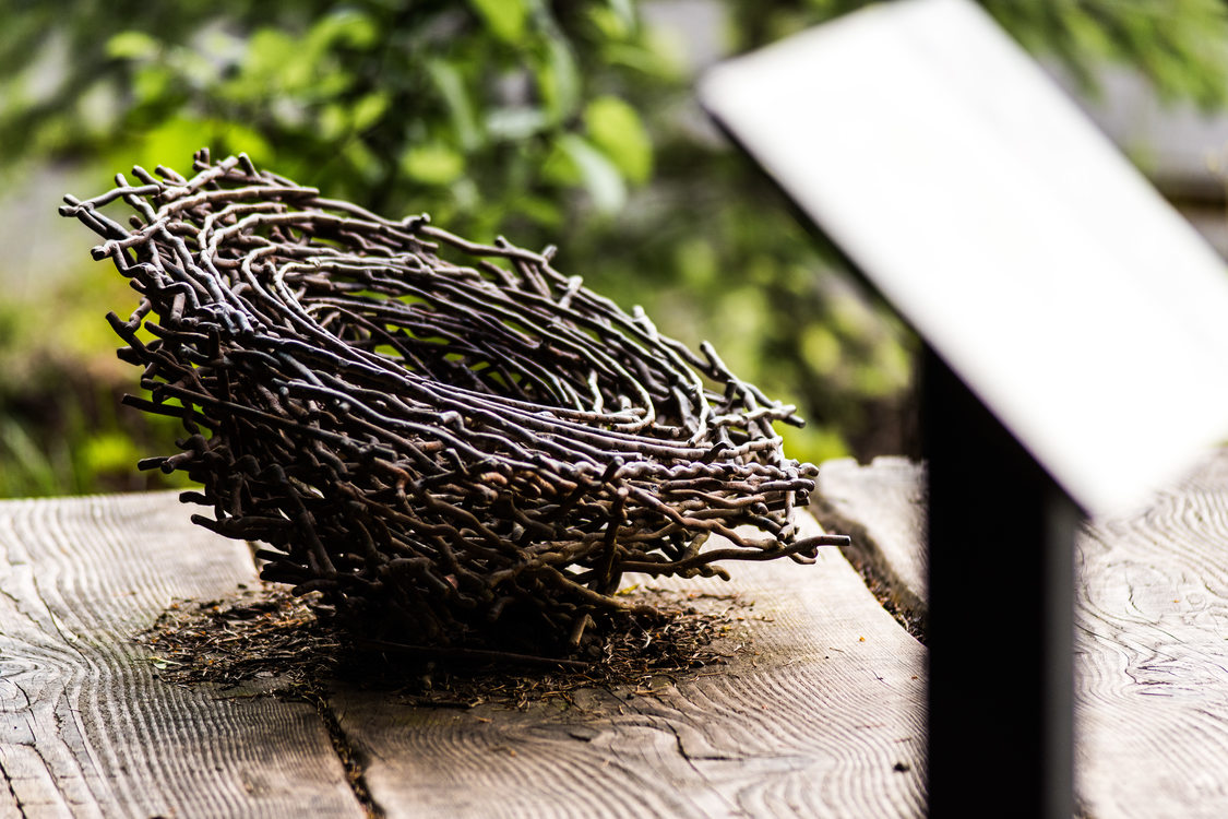 photo of Scouters Mountain Nature Park art bench with close-up of bird nest 