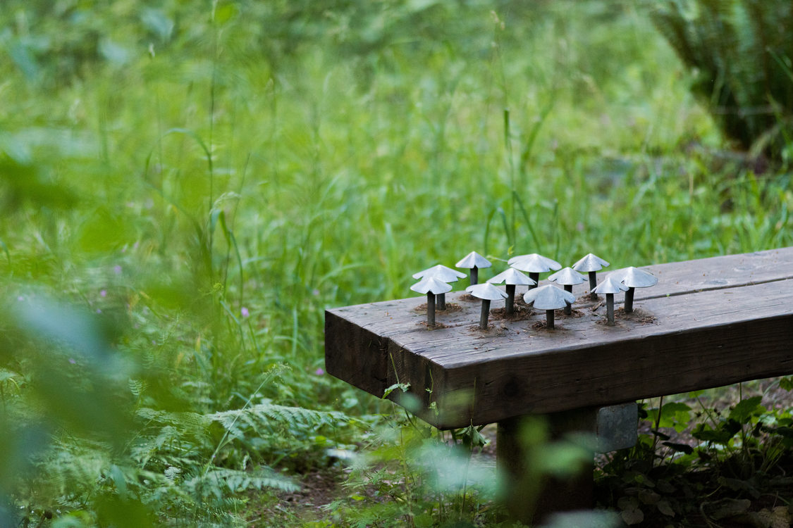 photo of Scouters Mountain Nature Park art bench with mushrooms