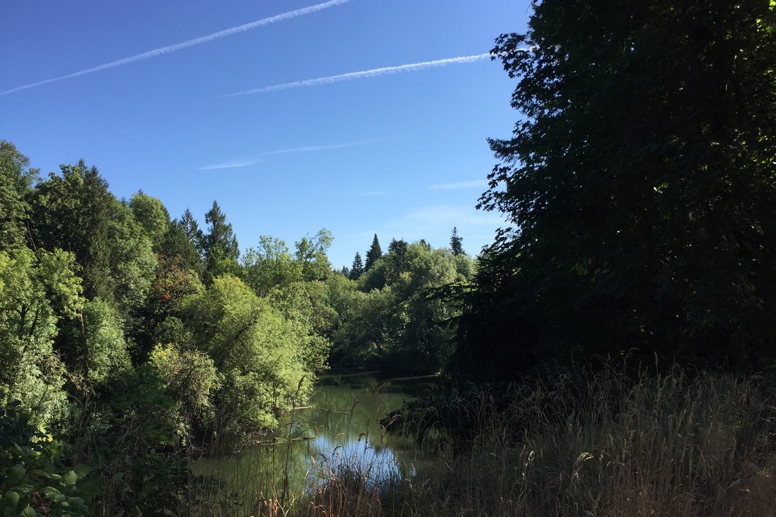 photo of Tualatin River at Beef Bend Natural Area