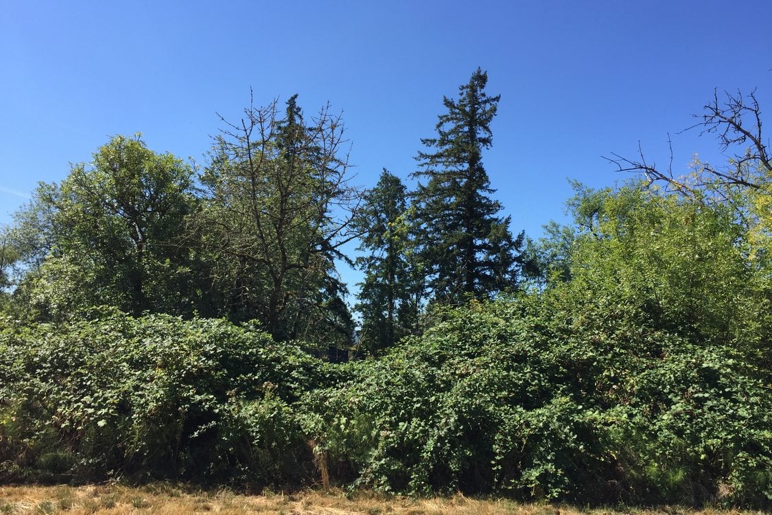 photo of Beef Bend Natural Area