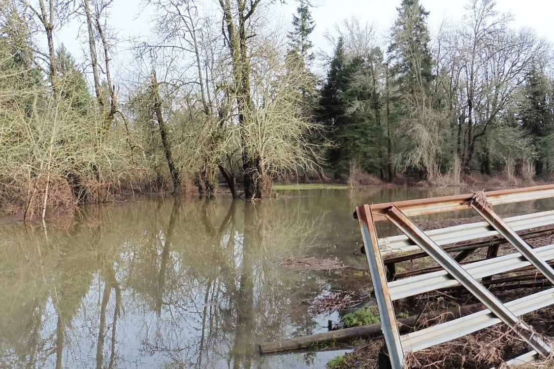 photo of Beef Bend Natural Area Tualatin River floodplain