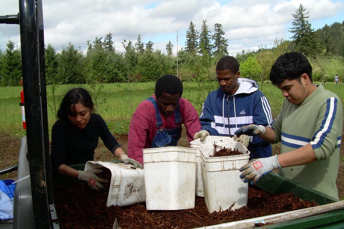 a group of kids collect mulch in buckets