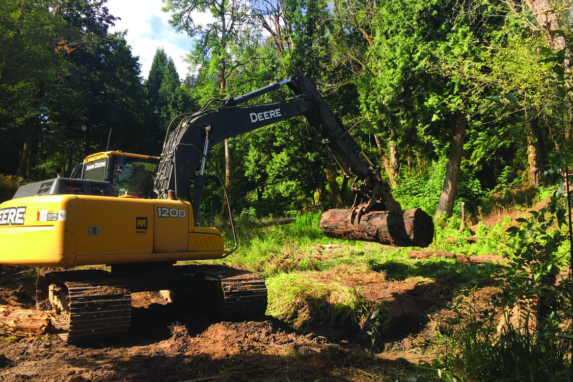 photo of large wood placed alongside Brigman Creek