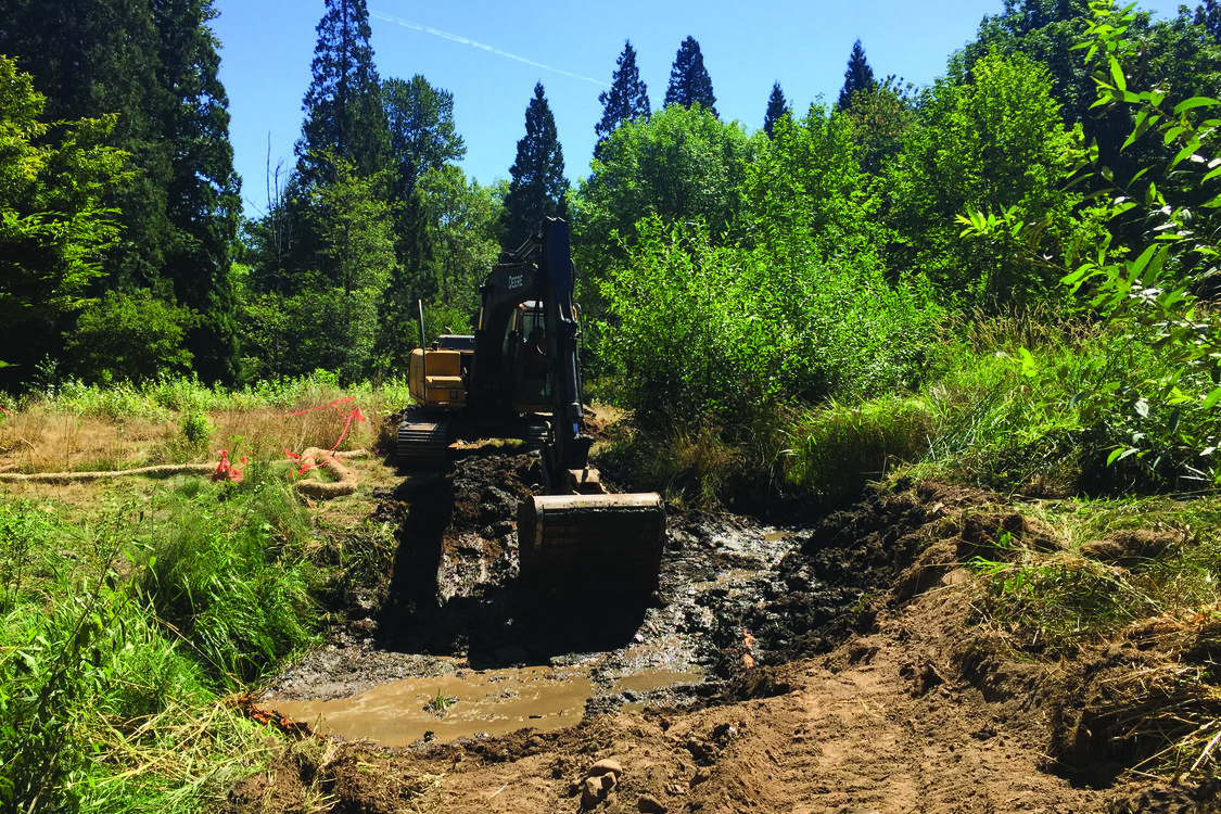 photo of removal of second Brigman Creek dam