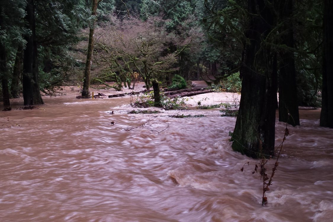 photo of Johnson Creek floodwaters completely covering undersized road and bridge at Ambleside Natural Area