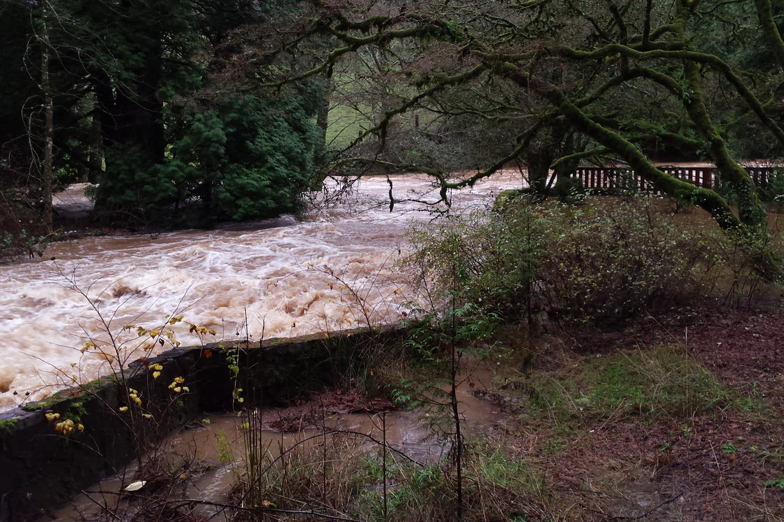 photo of concrete walls and spillway during Johnson Creek flood