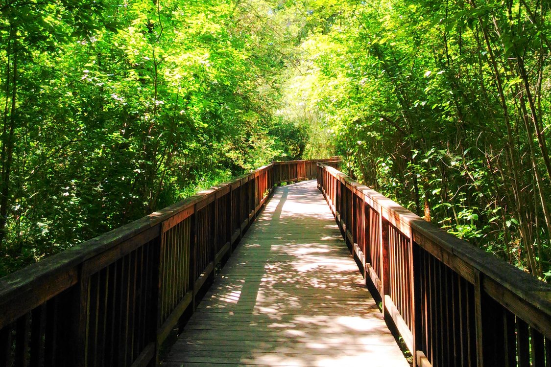 photo of sunny pedestrian bridge