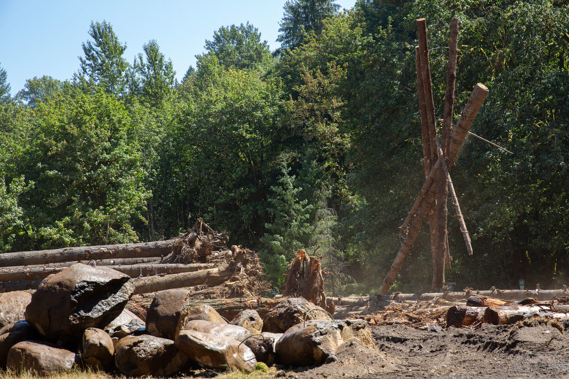 Logs being moved at Oxbow Park to build logjam in the Sandy River