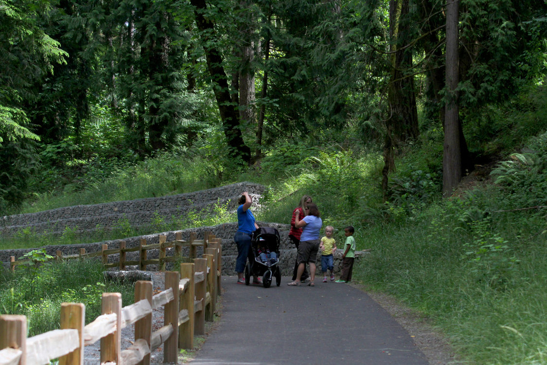 Photo of group of women and kids talking on walking path in forested area of park