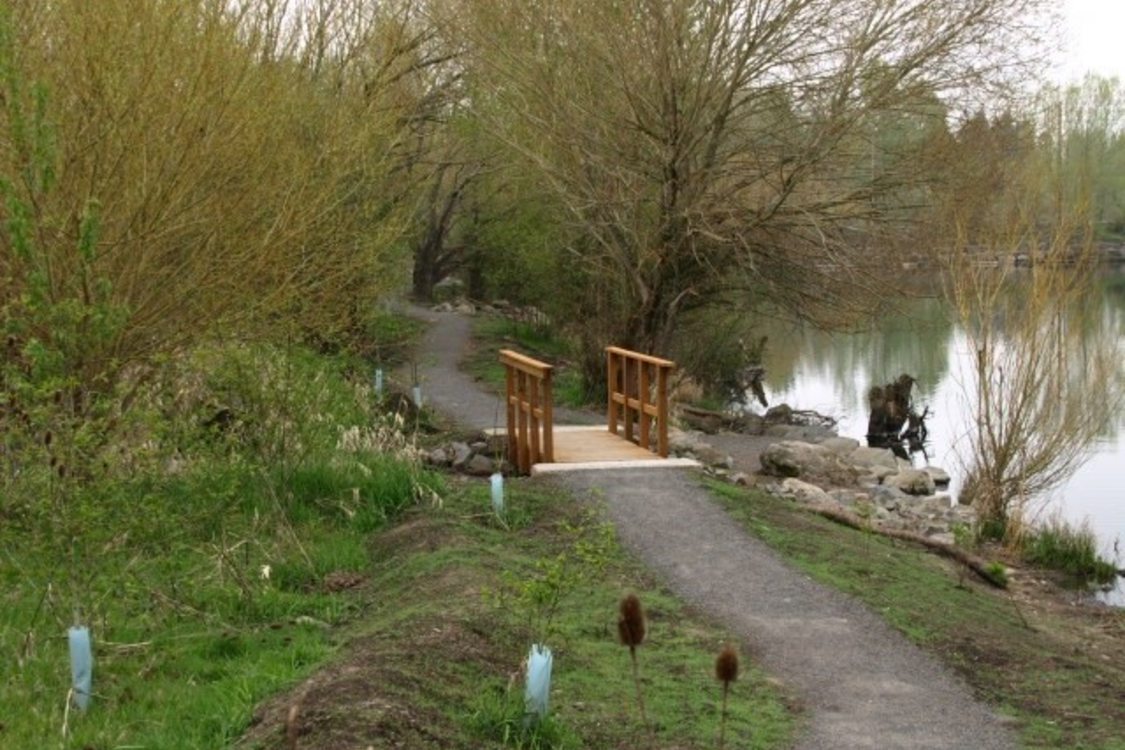 Photo of gravel pathway next to pond