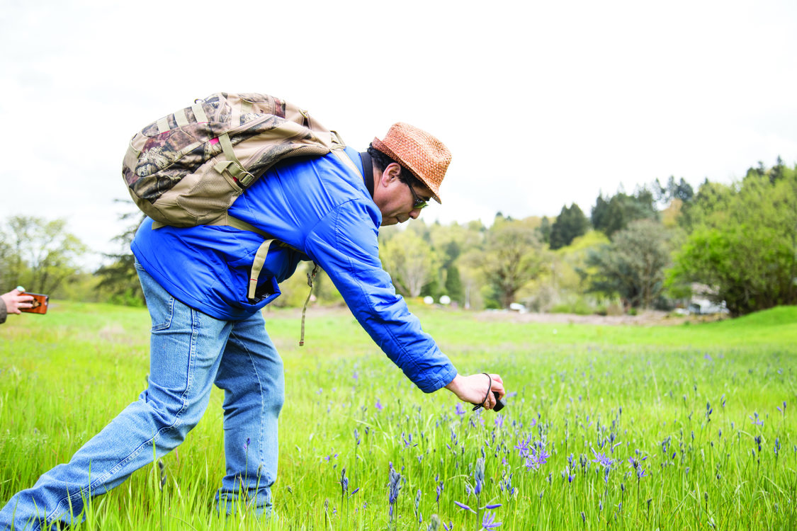 Greg Archuleta photographs camas blooms at Canemah Bluff Natural Area.