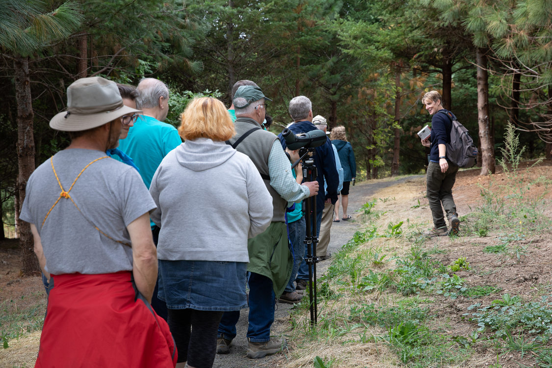 Metro naturalist Ashley Conley leads a group of visitors on a nature trail at Killin Wetlands Nature Park.