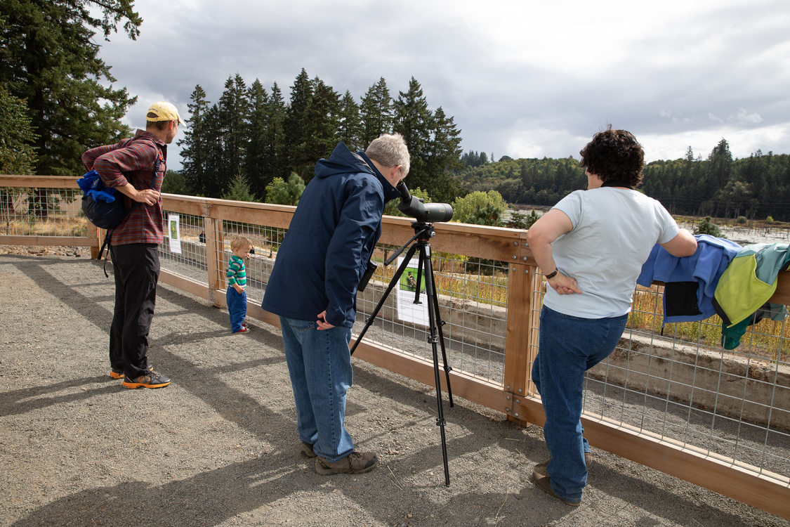 Visitors look out over Killan Wetlands Nature Park from the scenic viewing deck on opening day. 