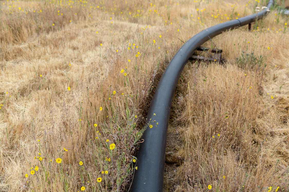 A gas pipe lays over prairie grass