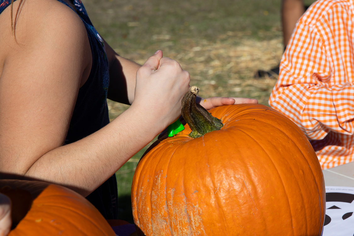 a child, whose face is not in the picture frame, carves a pumpkin