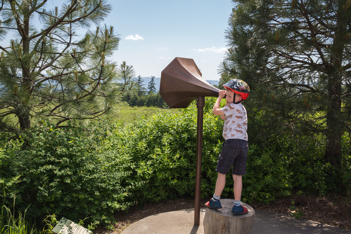 photo of boy at Cooper Mountain Nature Park