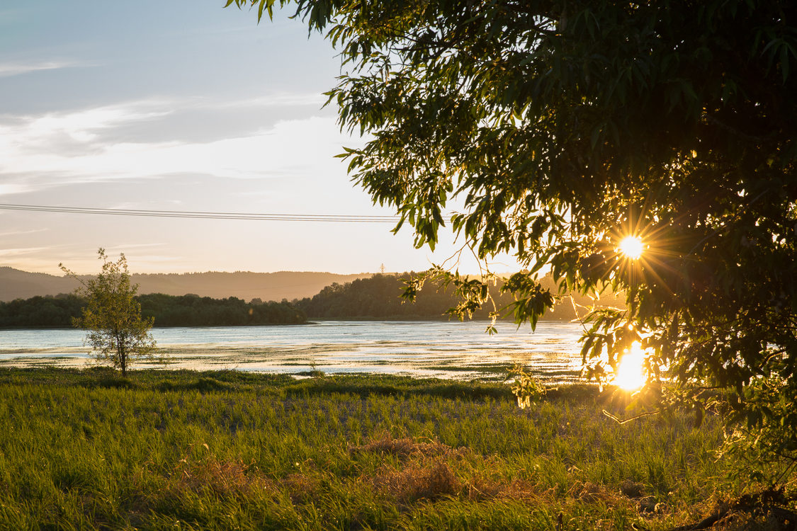 photo of sunset at Smith and Bybee Wetlands Natural Area