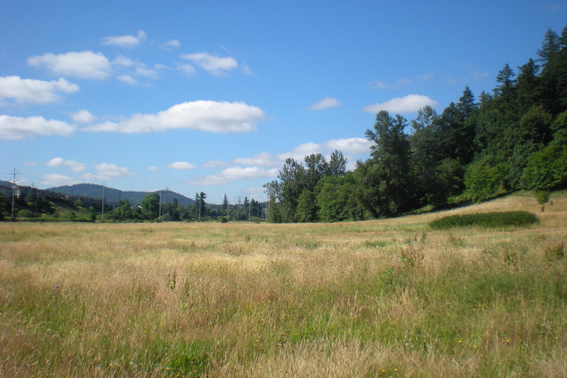 photo of Grant Butte Wetlands