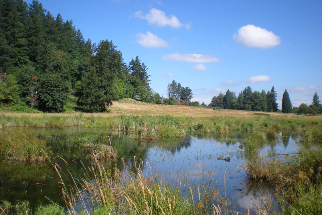 photo of Grant Butte Wetlands