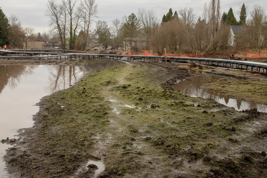 A bank separates the creek and the pond at the wetland.