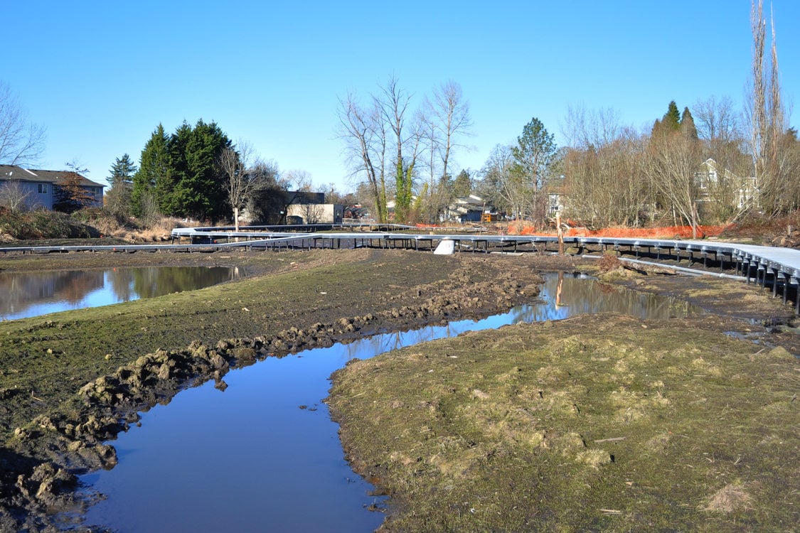 Boardman Creek runs through the middle of the wetland.