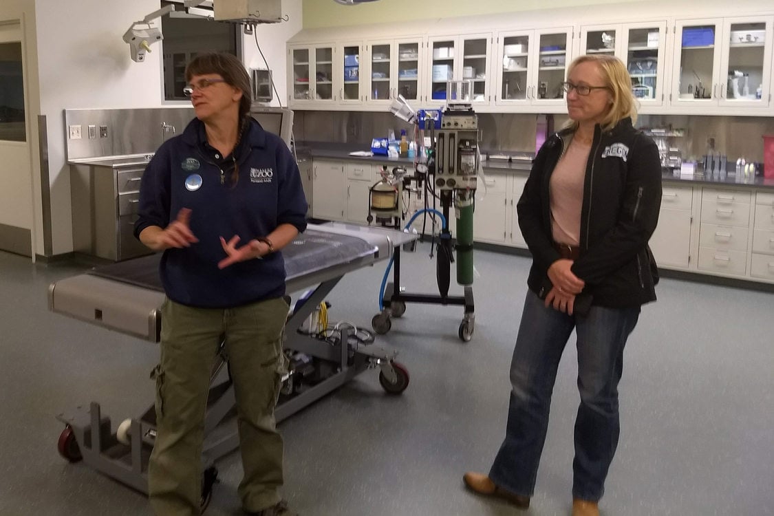 Metro Council President Lynn Peterson on a tour of Oregon Zoo