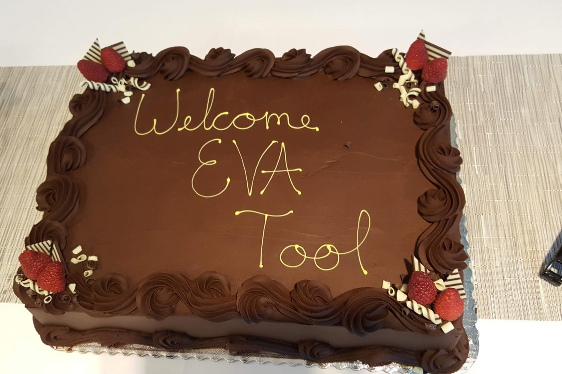 Cake that says "Welcome EVA Tool"