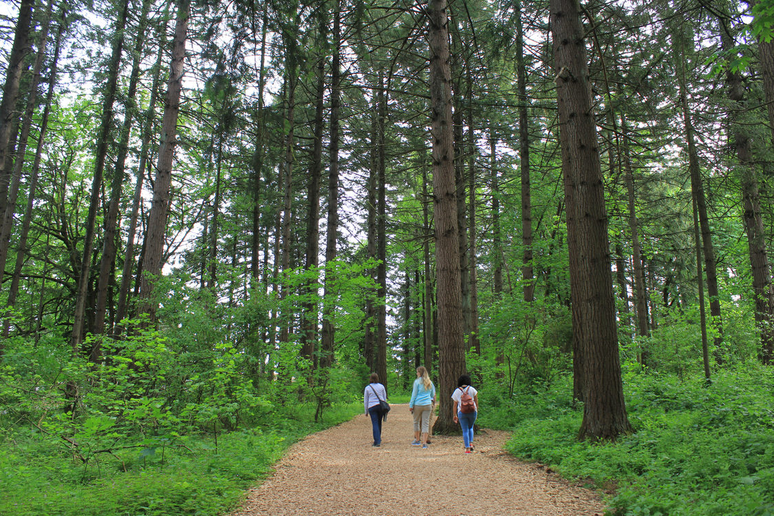 People walking on trail at Glendoveer Nature Park. 