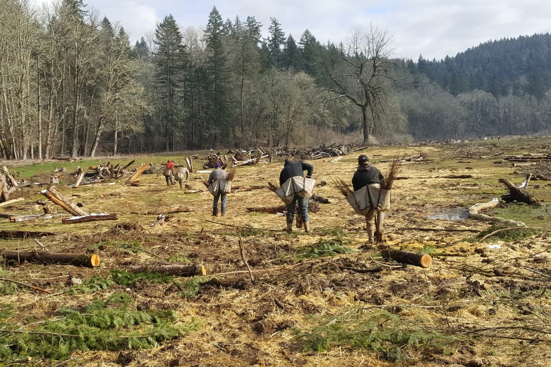 Crews in February installing native plants at Metro’s Richardson Creek Natural Area in the Clackamas River Basin