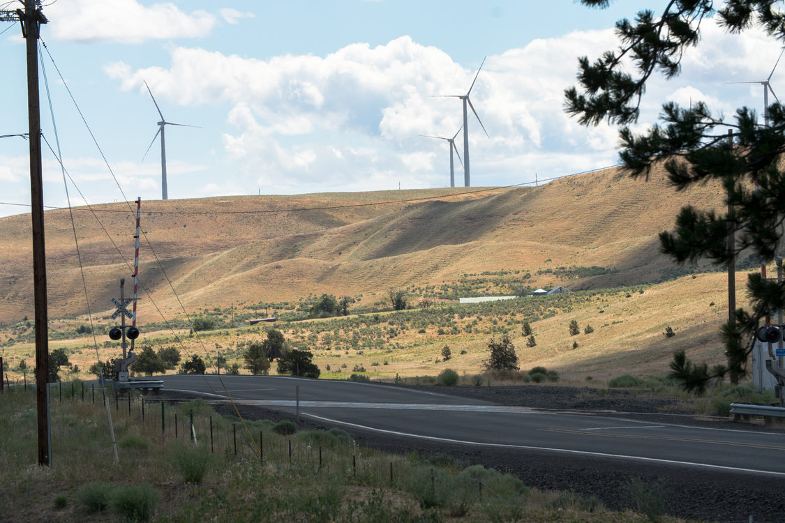 Windmills and wheat fields in Gilliam County