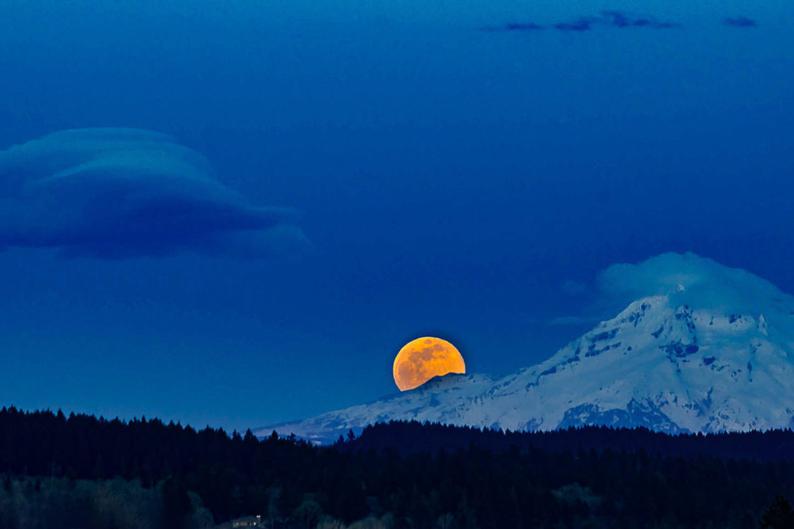 A yellow full moon rises above a snow-covered Mt. Hood.