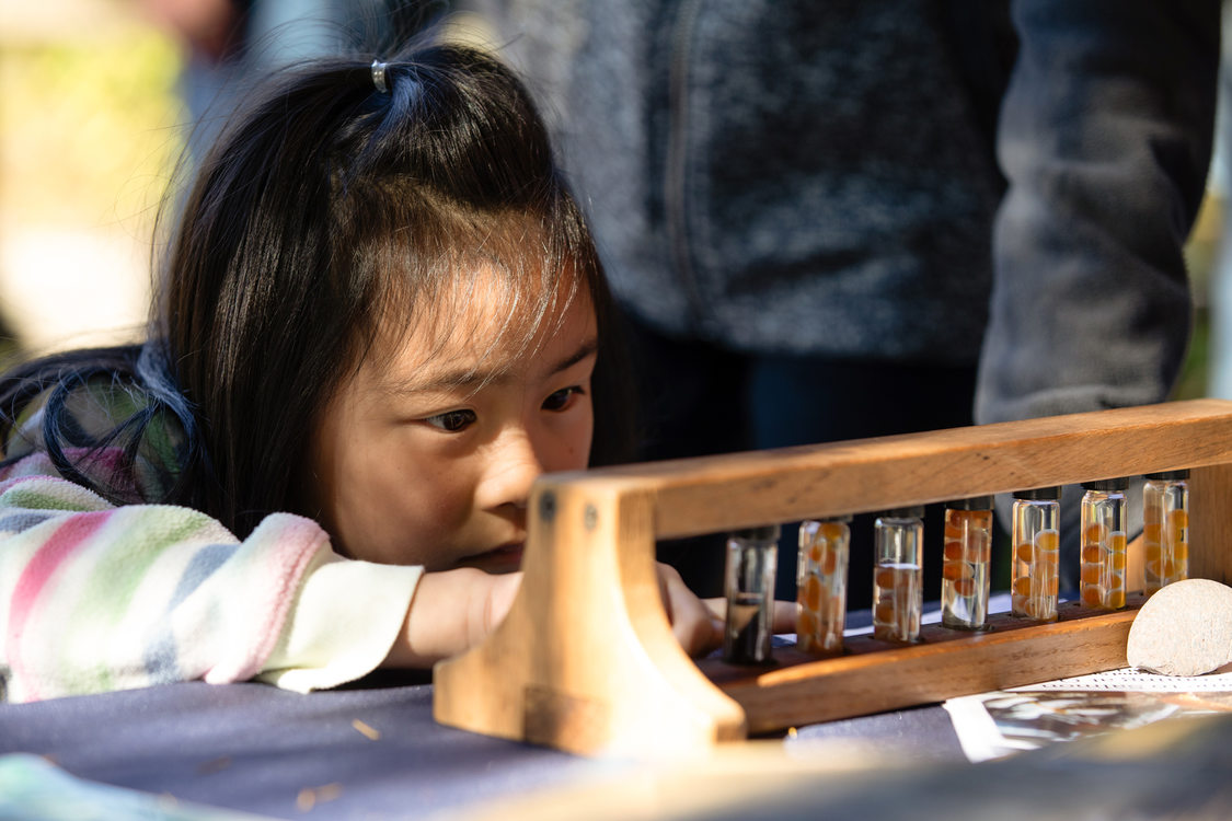 girl looks at salmon eggs in test tubes