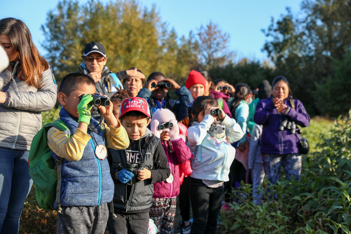 Children looking with their binoculars