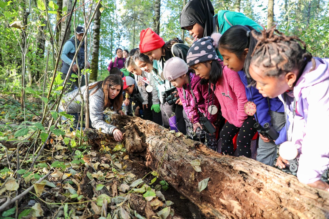 Group of children looking at log in nature