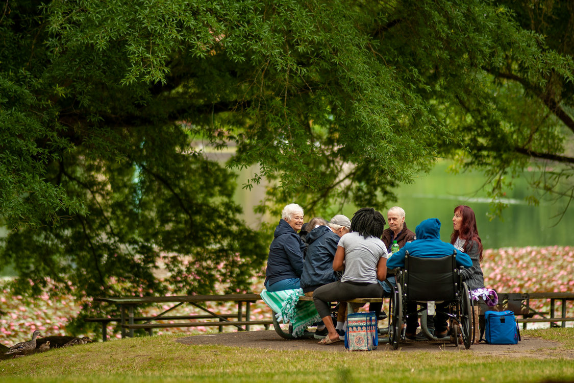 photo of people enjoying a picnic at Blue Lake Regional Park