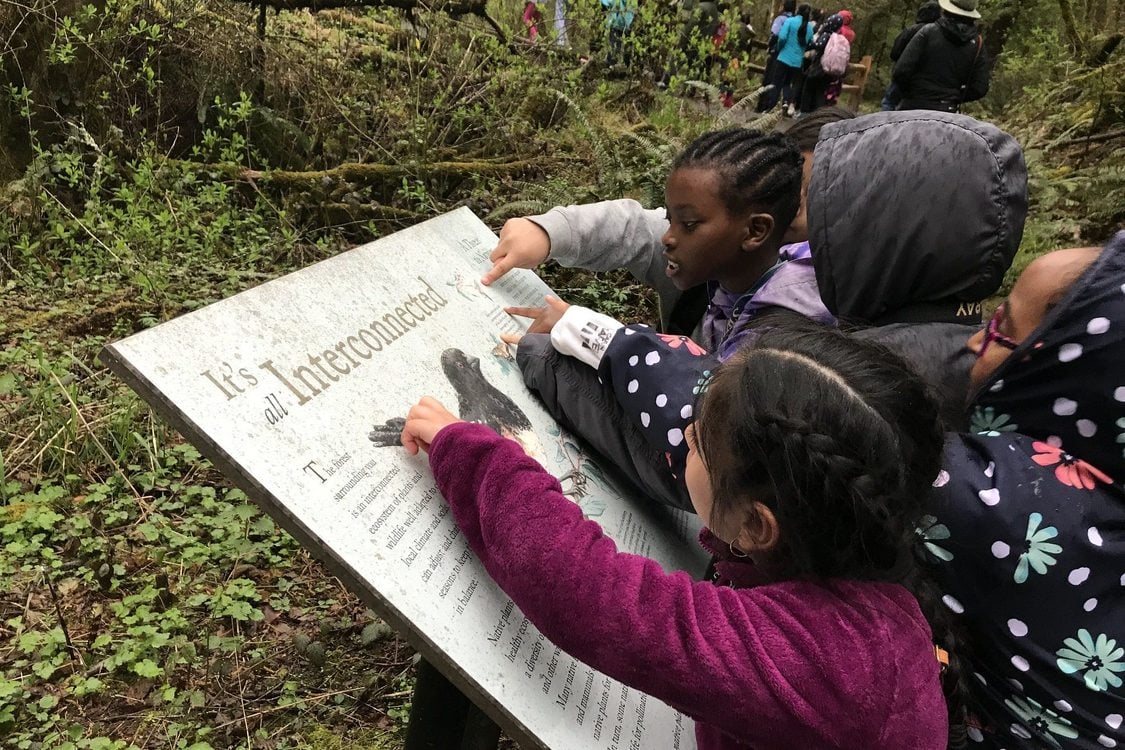 Five young children huddle together over an interpretive sign with a bird that says 'It's all interconnected'. They are in the woods and several people can be seen on the trail in the background.