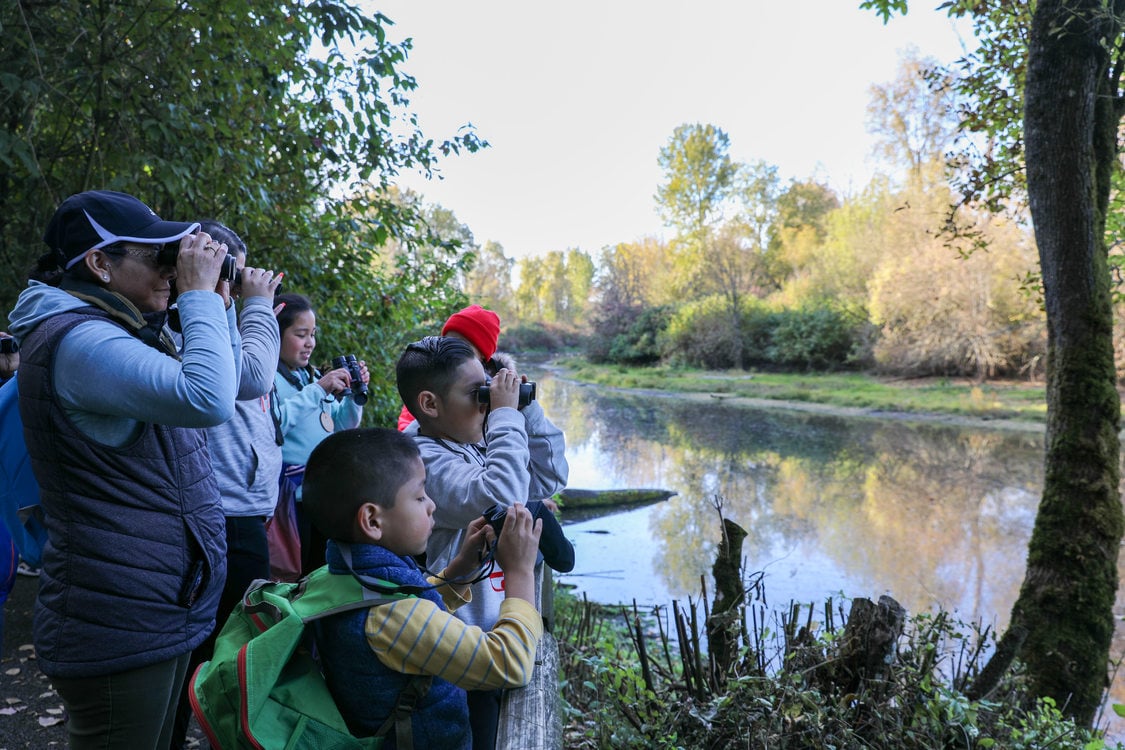 Children and an adult stand on the bank of a wetland looking through binoculars.