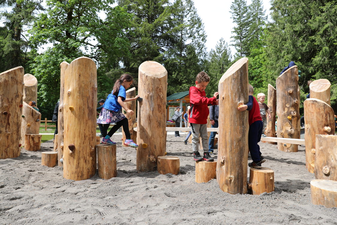 photo of nature play area at Oxbow Regional Park