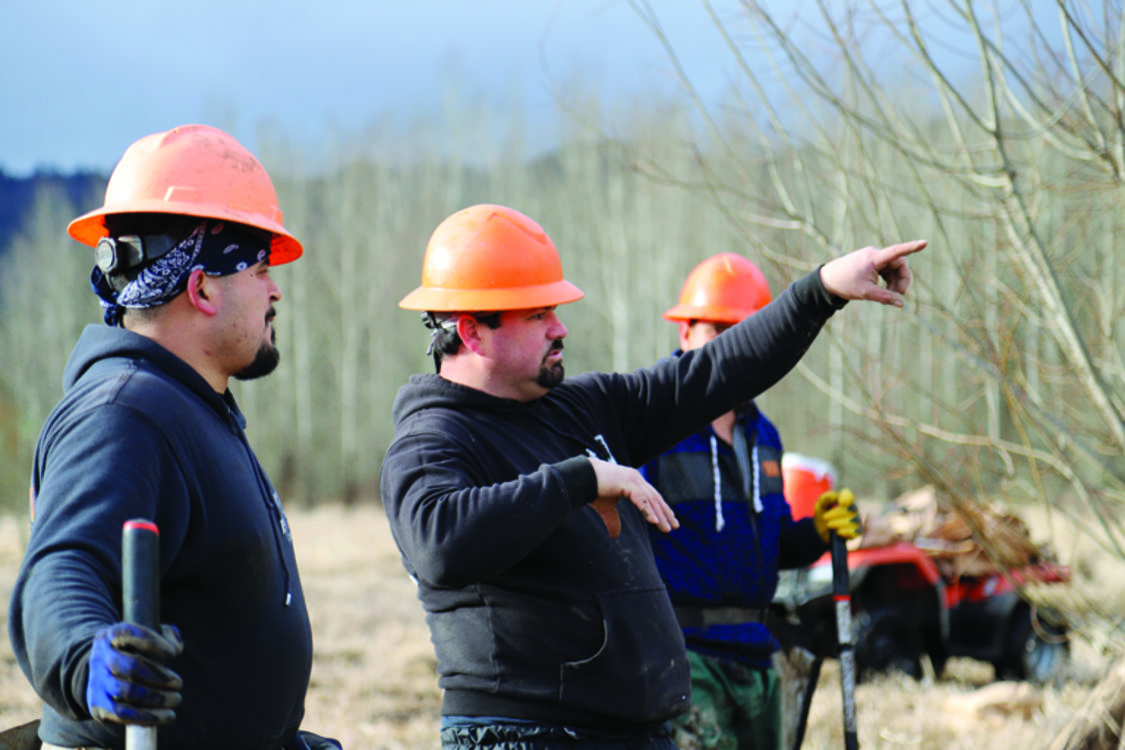 Men in orange hardhats discuss work in a natural area.