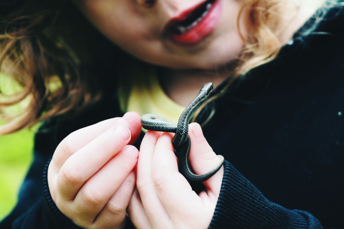 A young child holds a garter snake and looks at it with curiosity.