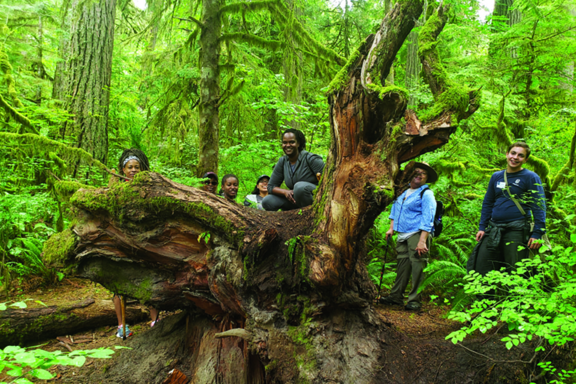 Six black women wearing hiking clothing stand around a massive tree stump in a forest.
