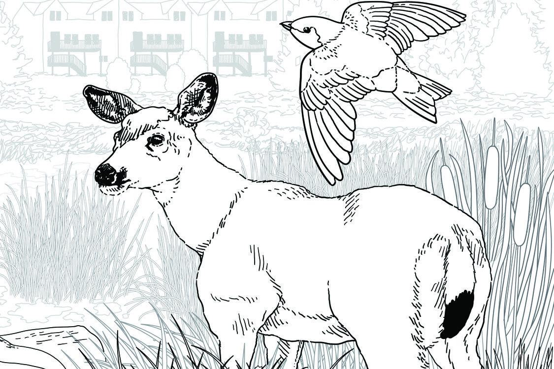 Close-up of coloring book illustration.