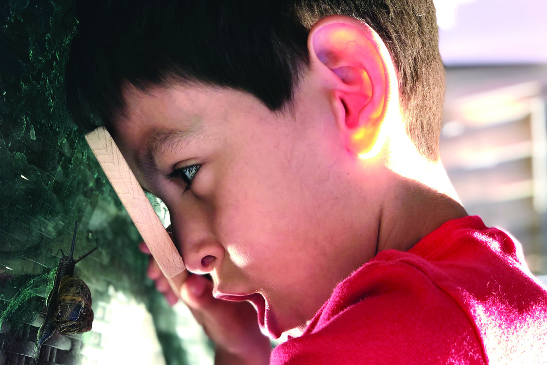 A young boy holding a magnifying glass looks at a slug in wonder.