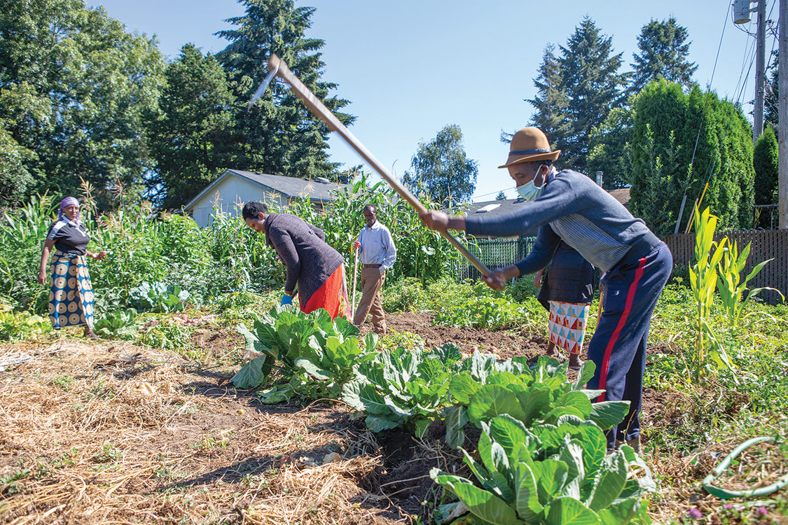 A group of Black men and women tend to a small garden.