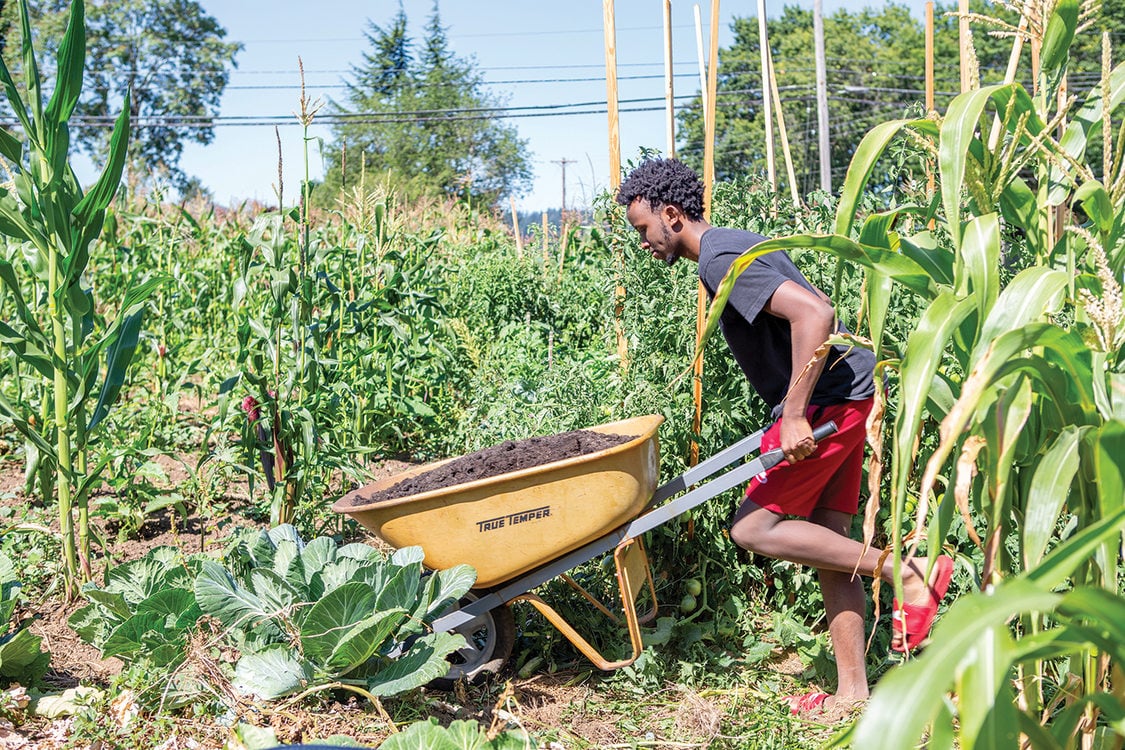 A young Black men pushes a wheelbarrow full of soil in a very green garden.