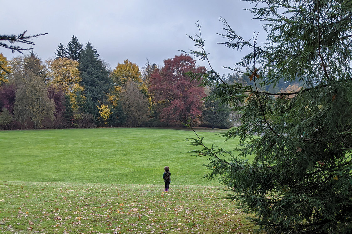 A child in a puffy coat stands alone on a grassy lawn.
