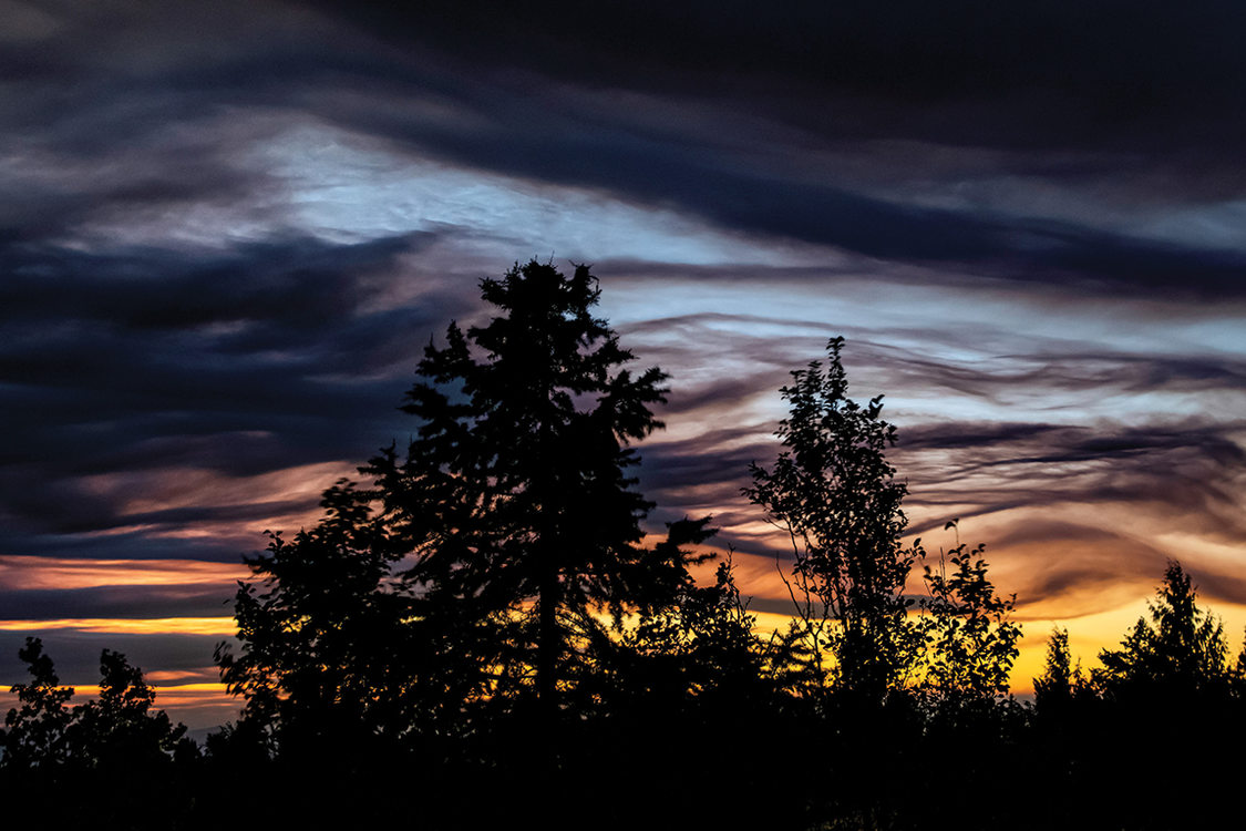 Trees are silhoutted against a dramatic sky made of yellows, reds, blues and purples caused by the sun setting behind smoke clouds.