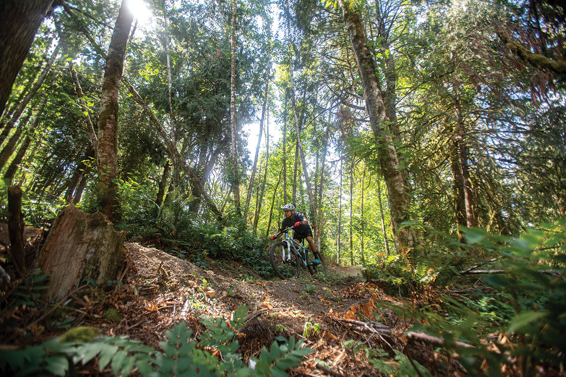 A cyclist rides under a canopy of tall, sun-dappled trees on one of the bike trails in Newell Creek Canyon Nature Park