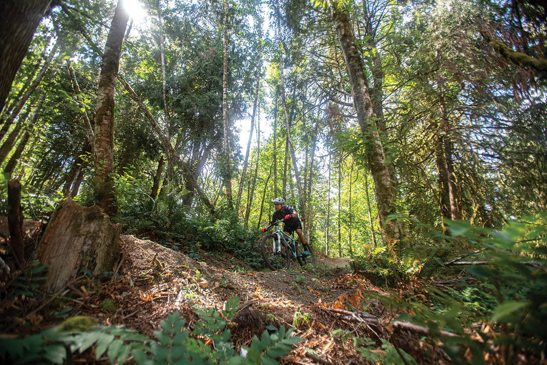 A cyclist rides under a canopy of tall, sun-dappled trees on one of the bike trails in Newell Creek Canyon Nature Park